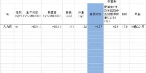 「体格指数計算ソフト」